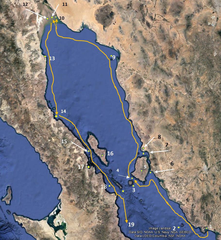 Mapa No. 9. Ruta de Guaymas a la desembocadura del R. Colorado, y a Bahía de San Rafael