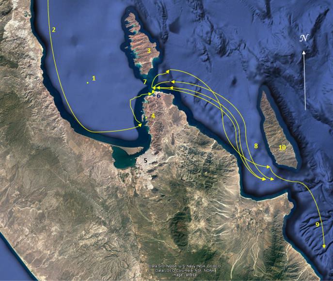 MAPA No. 12. Arribo de Ulloa a Santa Cruz, hoy La Paz, y partida hacia Cabo San Lucas, antes California Description