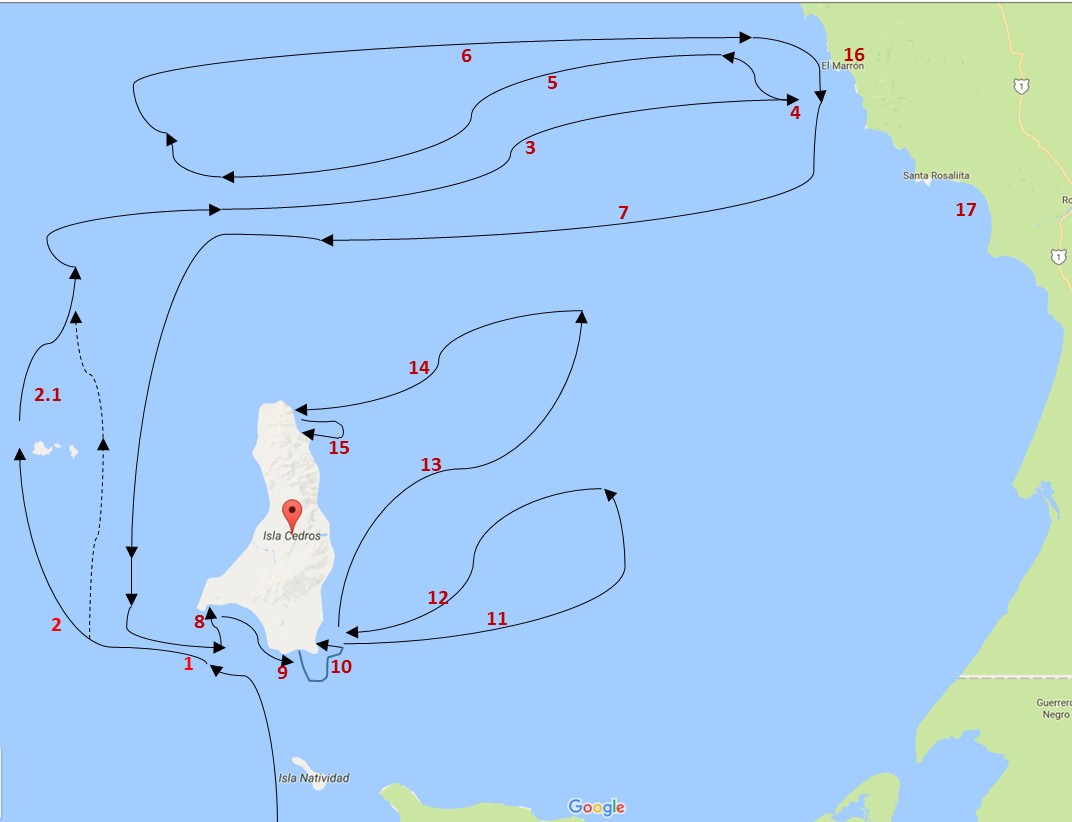 Mapa. No 15. Rumbos simbólicos de relativa aproximación al navegar la flotilla de Ulloa cerca de Is. de Cedros, del primero de enero de 1540 al 23 del mismo mes. Elab. sobre mapa de Google Earth, A. P. A.